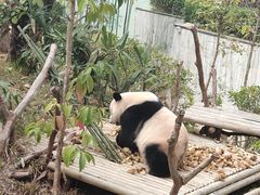 -南宁市动物园