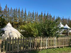 -前小桔亲子创意农场·草莓采摘·露营烧烤