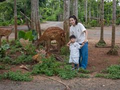 -海南热带野生动植物园