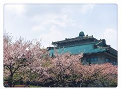 -武汉大学-樱园