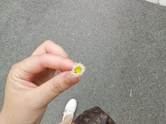 -上海怡沁园度假酒店