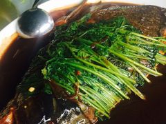 -长兴岛郊野公园农场食堂