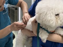 -美美宠物诊疗中心·异宠·骨科(滨江东信分院)