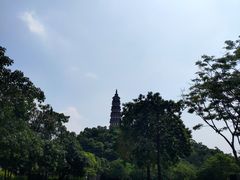 -顺峰山公园