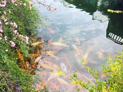 -荆川公园
