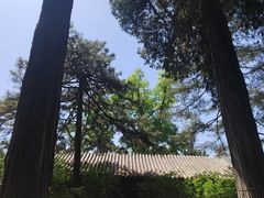 -潭柘寺景区