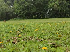 -南国桃园旅游度假区