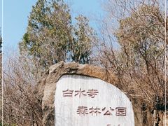 -白水寺森林公园