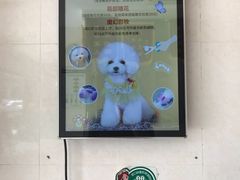 -瑞鹏宠物医院(大运分院)