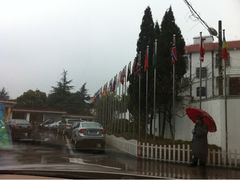 -宋庆龄幼儿园(虹梅路)