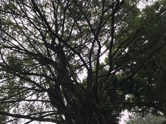 -南宁南湖公园