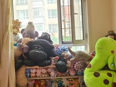 -PAWTOY爪e玩偶店(天兴罗斯福店)