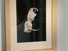-素描餐厅(灵隐天竺店)