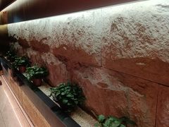 -普天和酒楼·新津菜·烤鸭(天津之眼店)