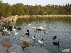 -西安秦岭野生动物园