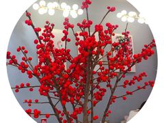 -卓花境Flowerwonderland花店