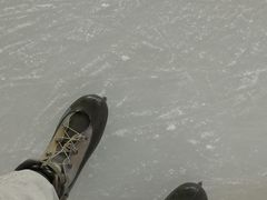 -松江大学城体育馆滑冰馆