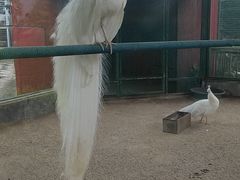 -瑞博尔花园酒店(太周创新产业园店)