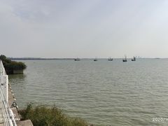-贡湖湾湿地公园