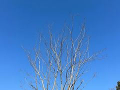 -敬亭山风景名胜区