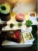 -花言草语鲜花店(灵山路店)