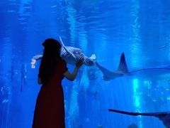 -成都浩海立方海洋公园