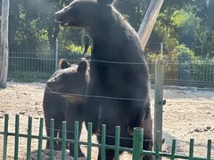 -秦皇岛野生动物园