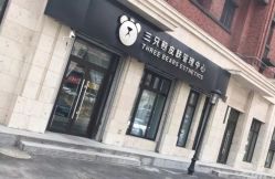 -三只熊皮肤管理中心旗舰店