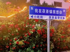 -茯茶镇