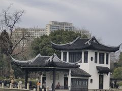 -红梅公园