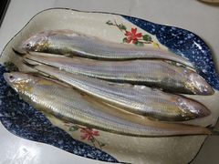 刀鱼-盒马鲜生(宝地店)