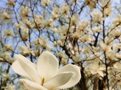 -大兴滨河森林公园