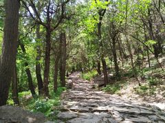 -阳台山自然风景区