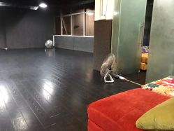 -HI dance 舞室