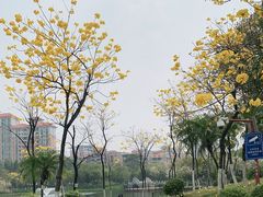 -映月湖公园
