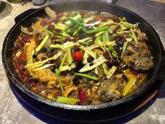 -老板恋上鱼(恒隆广场店)