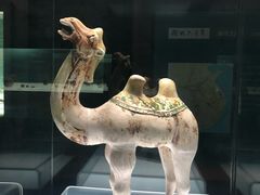 -衢州市博物馆