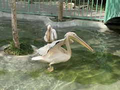 -水上乐园·欢乐世界