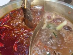 -小龙坎老火锅(泾县喜来登店)