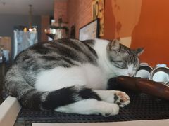 -UN CAFFE(五角场店)