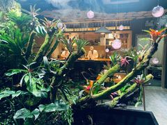 -森味薪火烧•烧鸟居酒屋•日本料理(望京店)