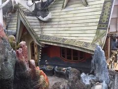 -疯狂屋