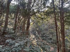-灵顺寺