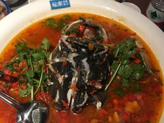 -坛宗剁椒鱼头(河西王府井店)