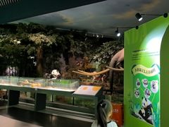 -湖南省地质博物馆