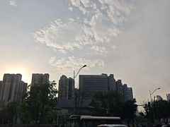 -四川大学博物馆