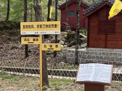 -洛阳白云山景区