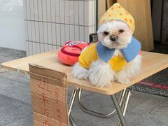 -巴公房子