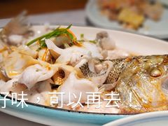 功夫鲈鱼-大榕树下顺德菜(融创茂店)