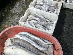 -芦潮港集贸市场